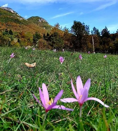 Nomad Glamping Апартаменты *